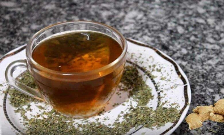 chá de orégano com gengibre: confira os vários benefícios para