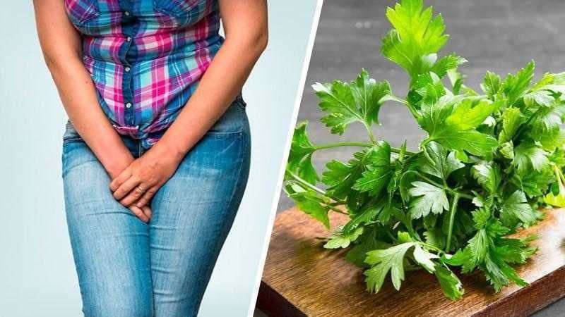 receita caseira para infecção urinária