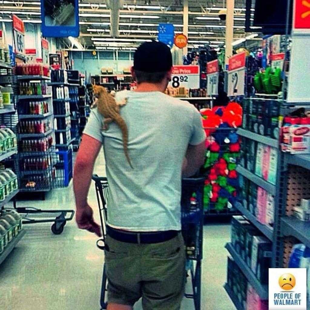 As 25 melhores e piores fotos de Clientes do Walmart 2