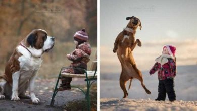 20 imagens incríveis de crianças e seus cães de estimação