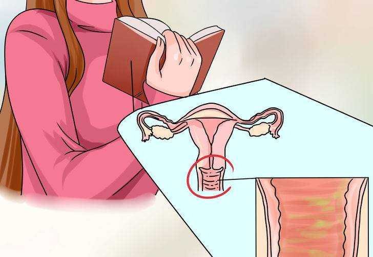 remédios caseiros para vaginite bau das dicas