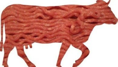 confirmado: pesquisa comprova que comer carne vermelha realmente causa câncer!
