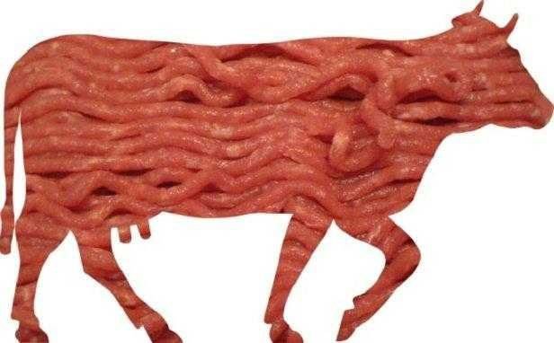 confirmado: pesquisa comprova que comer carne vermelha realmente causa câncer!