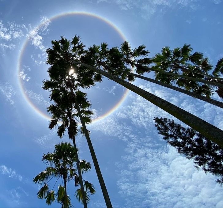 1648853533 308 15 fotos fenomenais que vao fazer voce esfregar os olhos