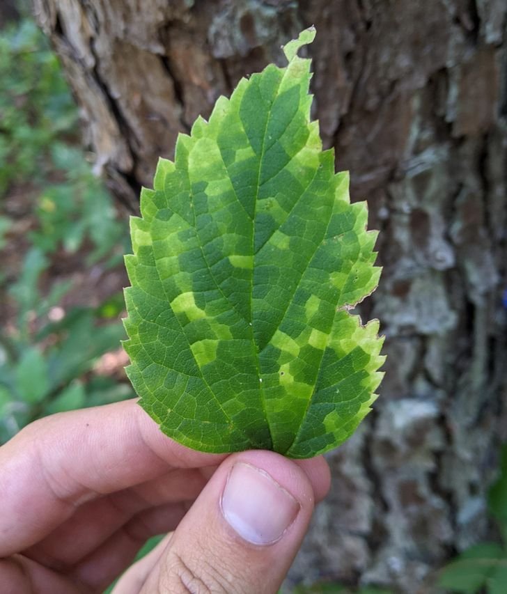 1649124556 556 Fotos fascinantes que provam que a Mae Natureza ainda pode