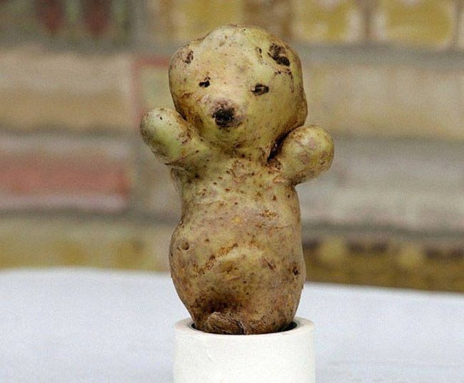 20 frutas e legumes que parecem outra coisa