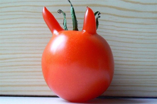 20 frutas e legumes que parecem outra coisa