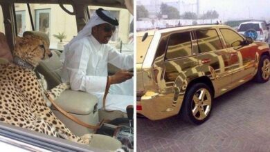 21 Coisas extravagantes que só existe em Dubai — Bau das DICAS
