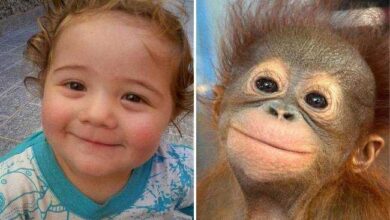 15 Imagens mostrando que crianças e animais podem sentir as mesmas emoções — Bau das DICAS