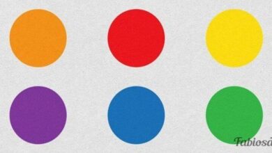 Escolha a sua cor preferida para saber mais de si mesmo! — Bau das DICAS