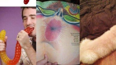 18 imagens que provam que a internet poluiu nossa mente — Bau das DICAS