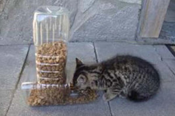 1500957300 457 10 maneiras uteis e super criativas de reciclar garrafas pet