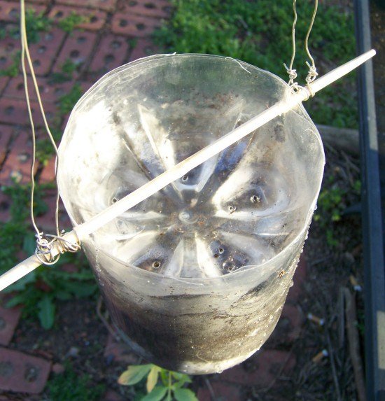 blog photos march 2012 308
