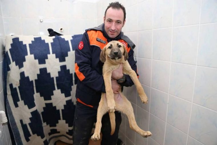 1513876886 28 depois de ouvir gemidos por 11 dias retiraram um filhote de cachorro de um poco de 70 metros
