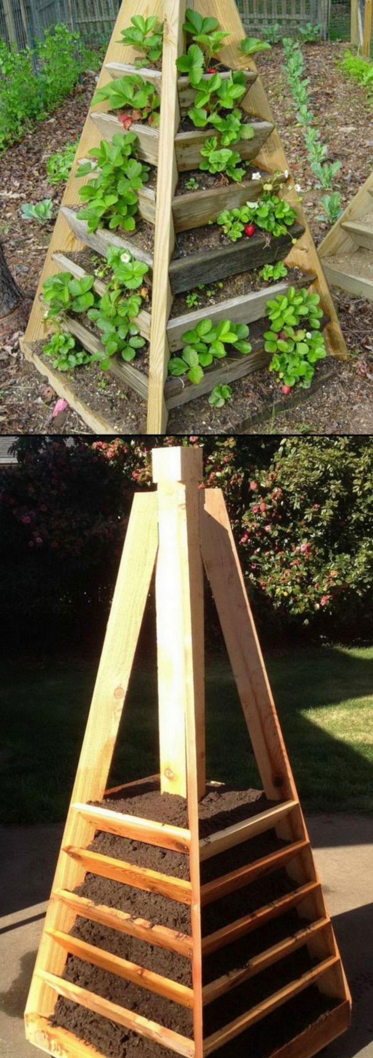 1497111864 604 9 formas diferentes de cultivar morangos em sua casa