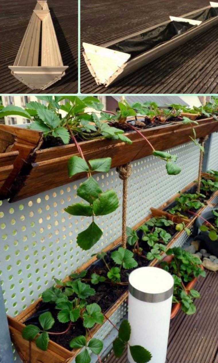 1497111867 822 9 formas diferentes de cultivar morangos em sua casa