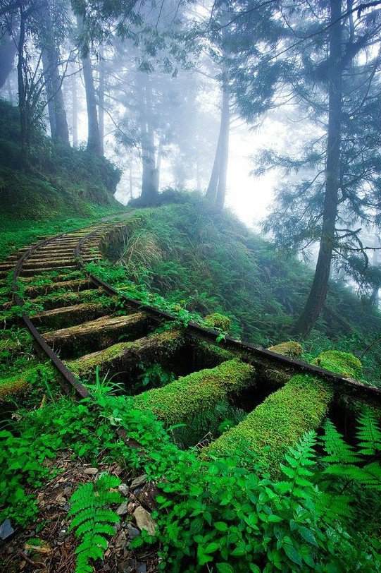 trem de ferro abandonada editada chinês