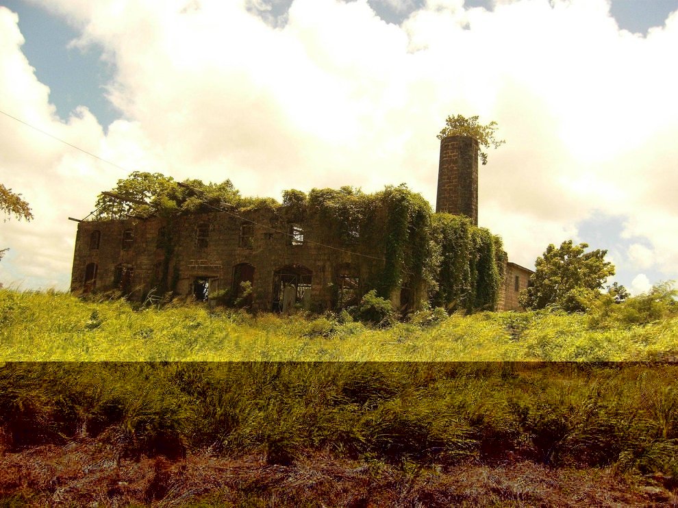 abandonado destilaria em Barbados
