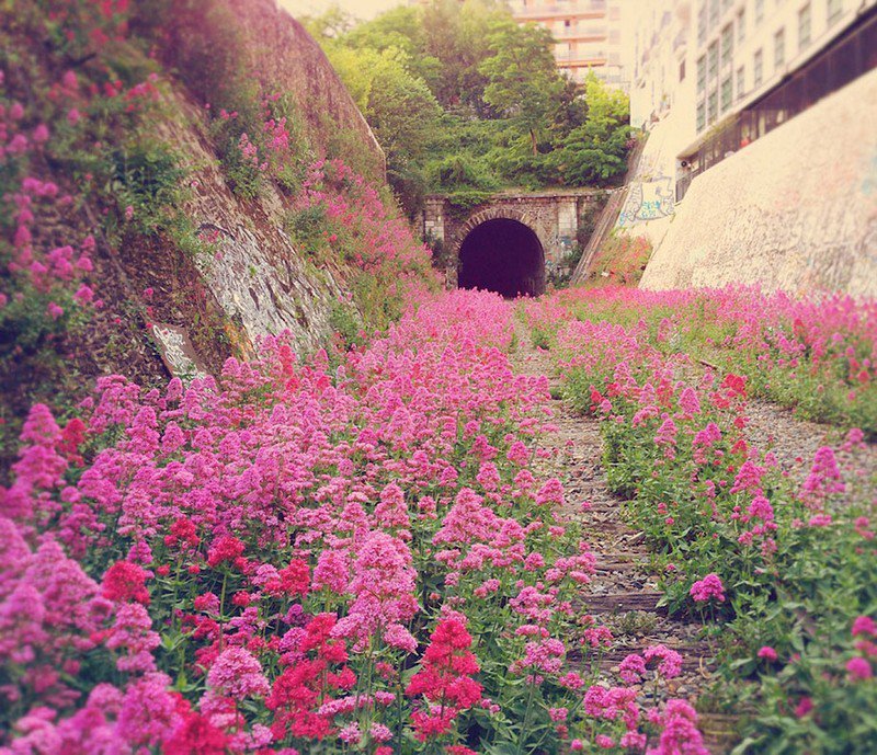 ferrovia abandonada dentro de Paris
