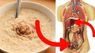10 ótimos motivos para consumir mais aveia — Bau das DICAS