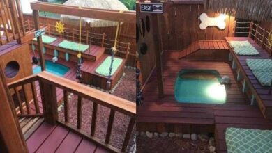Homem transforma seu quintal em um enorme parque de jogos para cães — Bau das DICAS
