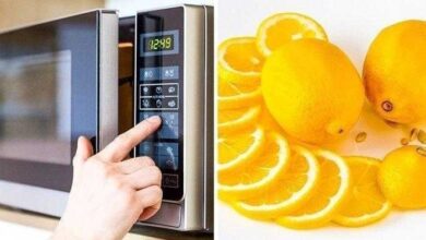 Como tirar mau cheiro do micro-ondas — Bau das DICAS