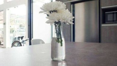 Como tirar cheiro de perfume do ambiente — Bau das DICAS