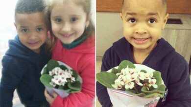 Mãe faz filho levar flores à coleguinha de escola após empurrá-la. — Bau das DICAS