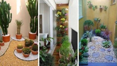 23 Ideias maravilhosas de jardim de inverno para se inspirar