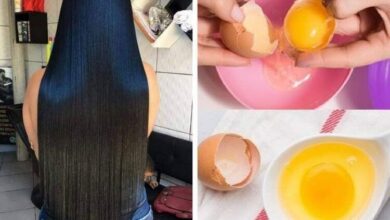 Como fazer reconstrução capilar com ovo passo a passo