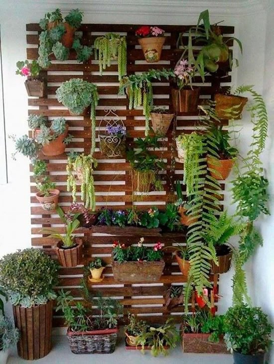 Jardins verticais lindos para inspiração