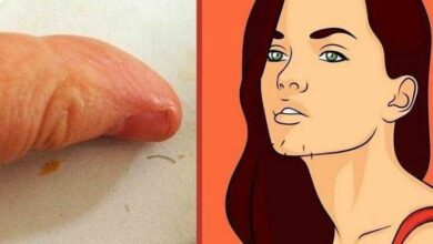 23 Ideias de Artesanato Feito com Corda