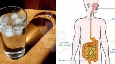 3 fatores que causam azia, gases e má digestão, conheça-os! — Bau das DICAS