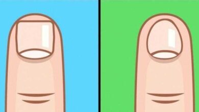 6 Coisas que a forma das unhas revela sobre você — Bau das DICAS