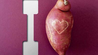 9 motivos para consumir Batata doce todos dias