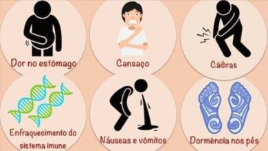 Como identificar falta de vitamina no seu organismo — Bau das DICAS