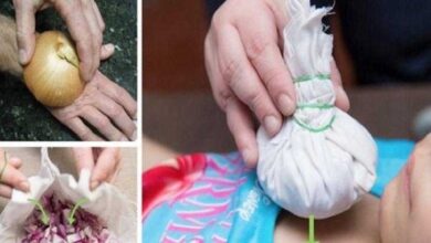 Como usar a cebola para tratar 9 doenças comuns no dia-a-dia