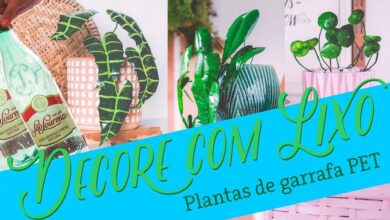 Faça plantas perfeitas usando garrafa PET