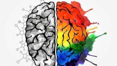 Qual o seu tipo de inteligência? — Bau das DICAS