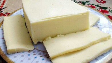 Queijo mussarela caseiro