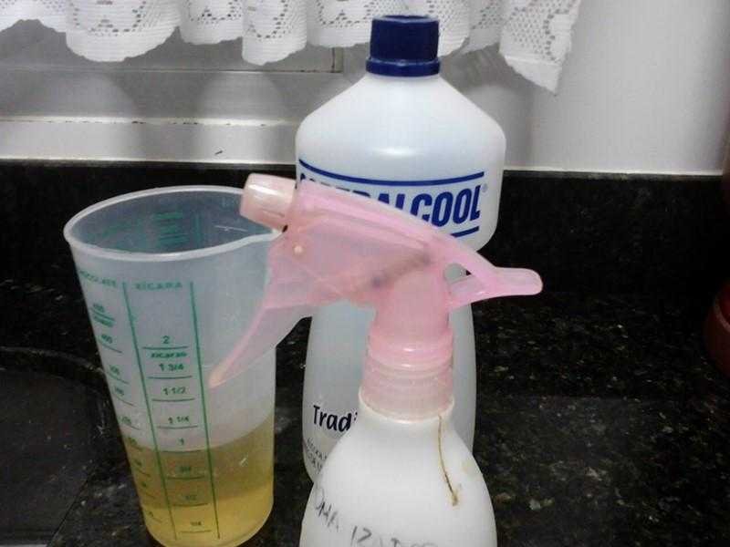 Receitas para acabar com os mosquitos em casa