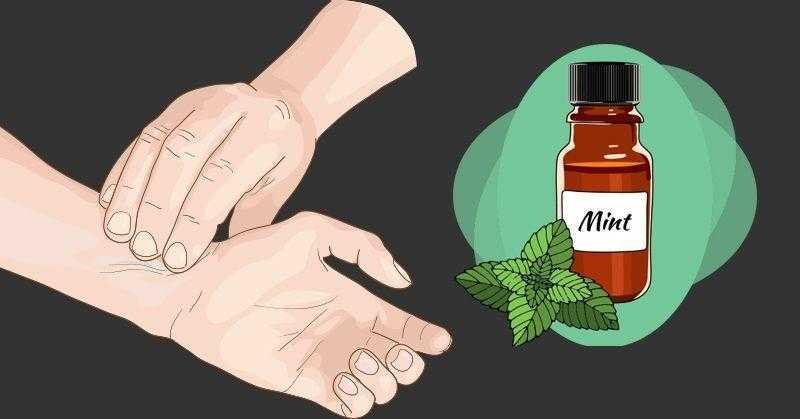 Como fazer óleo de hortelã em casa d