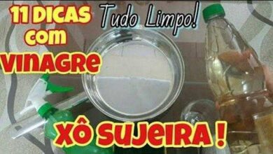 Bau das DICAS