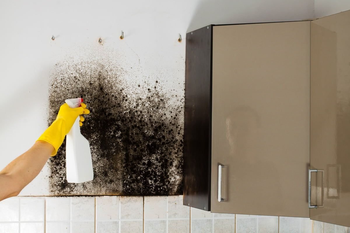 5 maneiras práticas e infalíveis de tirar mofo