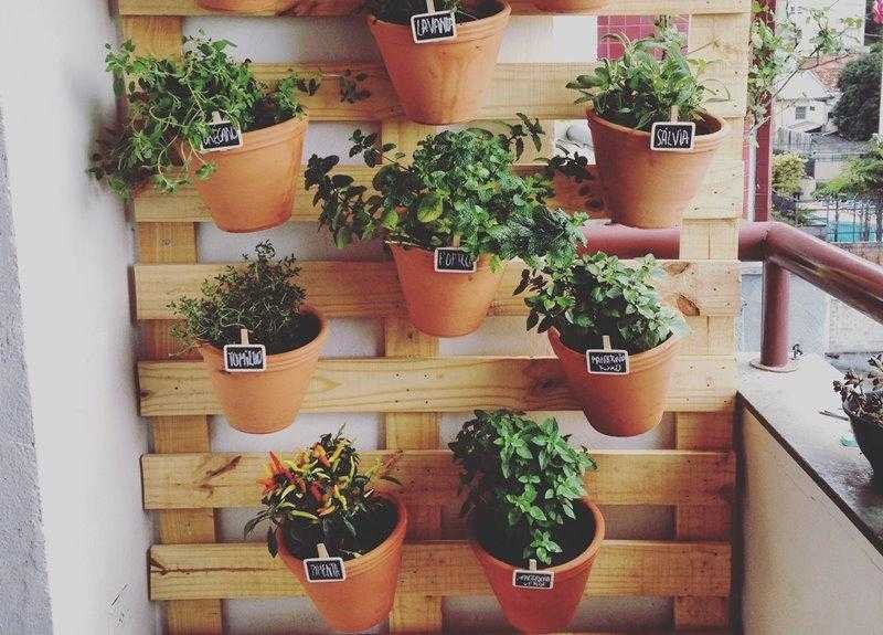 Como Fazer Jardim Vertical | Bau das DICAS