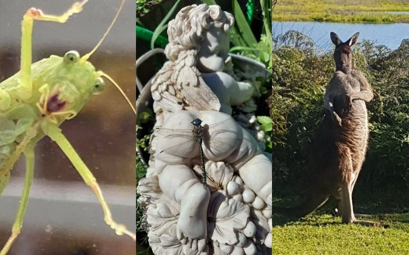 24 Vezes em que as pessoas falharam de forma hilária enquanto tentavam fotografar a vida selvagem