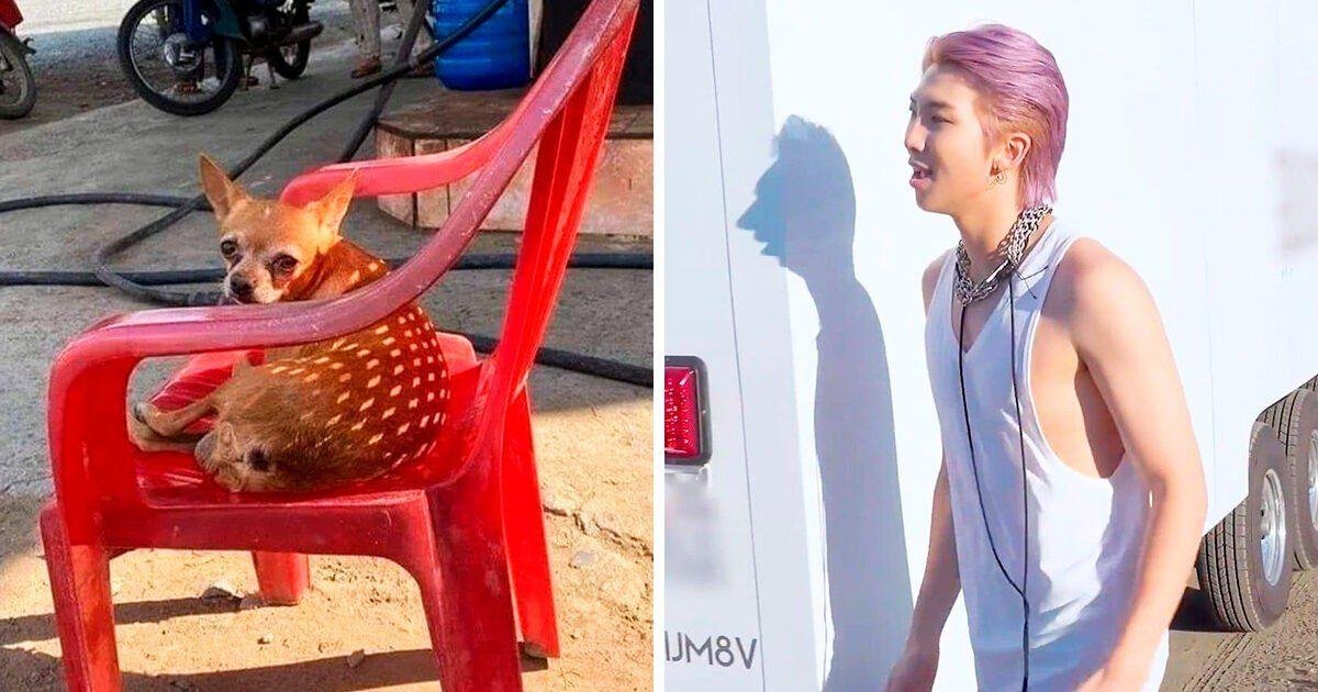 18 vezes que as sombras acabaram distorcendo a realidade
