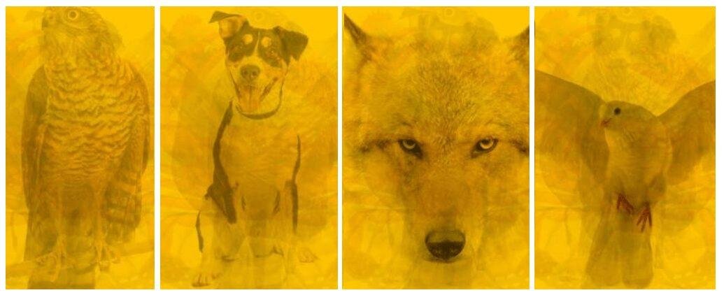 TESTE: Animal que viu primeiro -revela aspectos ocultos de sua personalidade