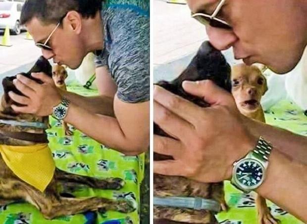 17 imagens que revelam a face verdadeira do ciúme
