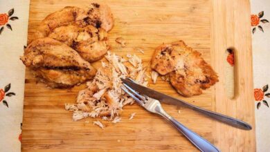 Receitas rápidas com frango desfiado